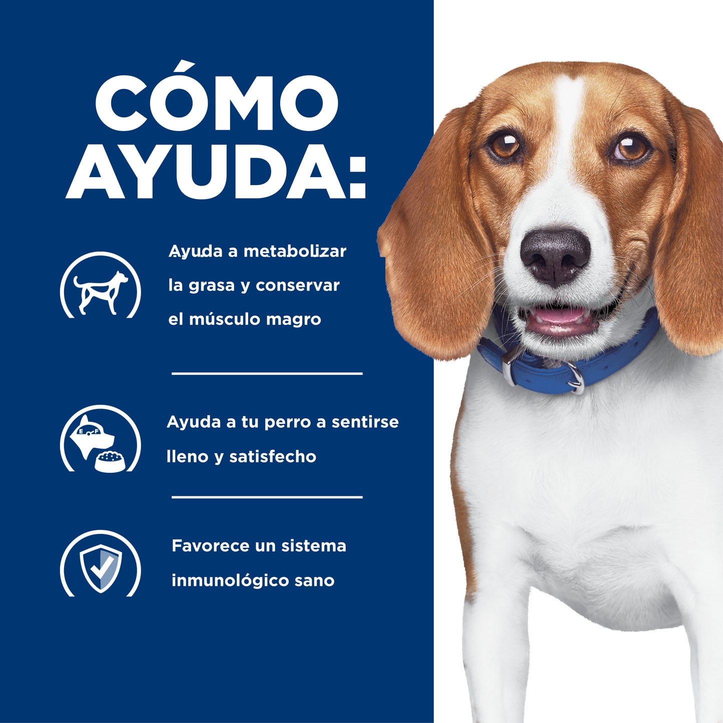 Concentrado para Perro Science Diet Medicado r/d