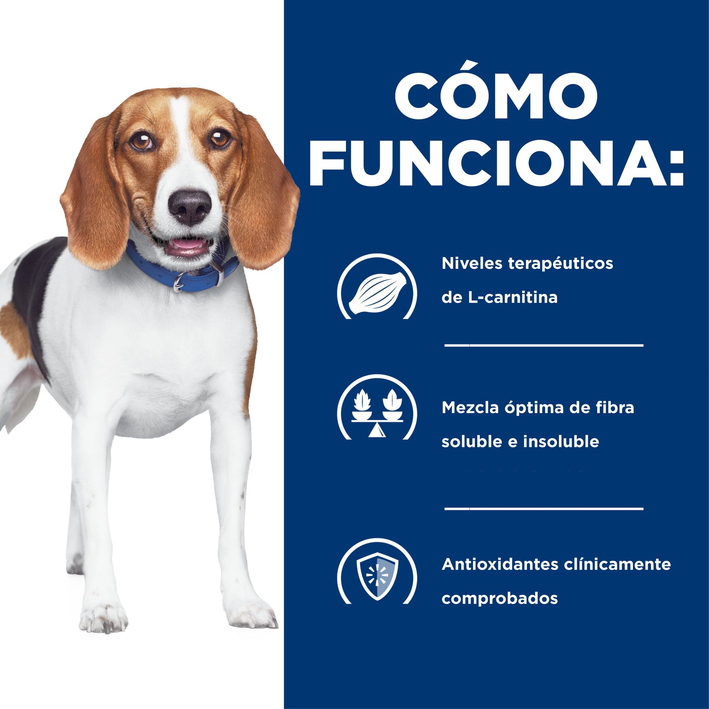 Concentrado para Perro Science Diet Medicado r/d