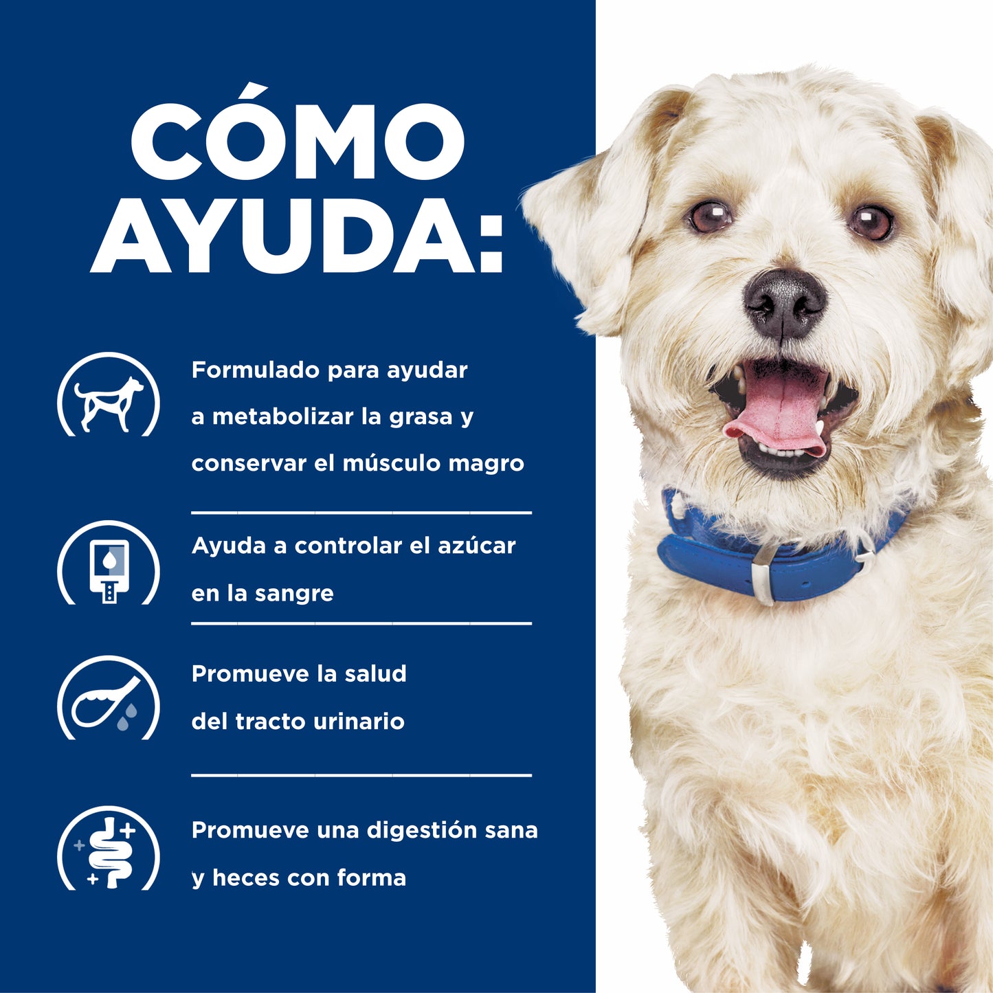 Concentrado para Perro Science Diet Medicado w/d